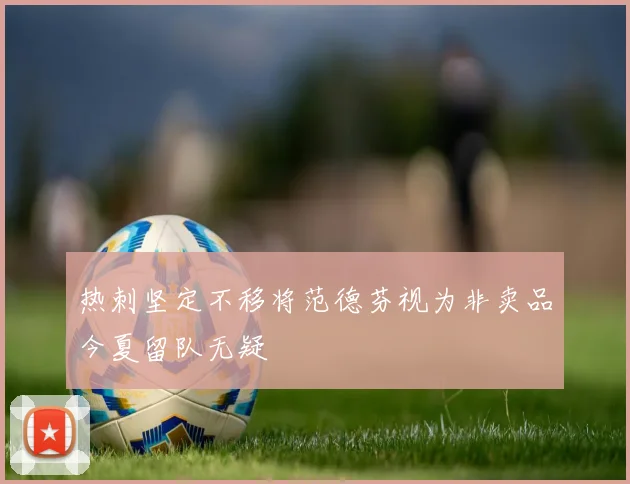 热刺坚定不移将范德芬视为非卖品今夏留队无疑