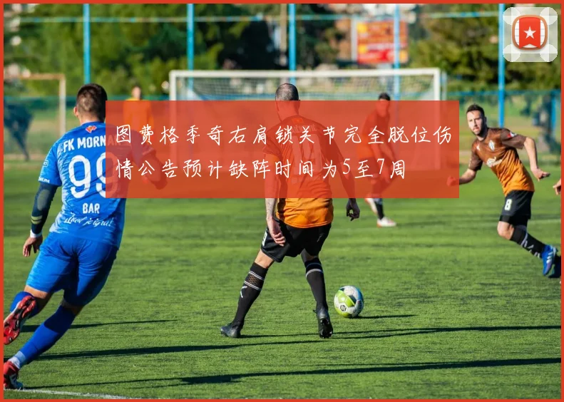 图费格季奇右肩锁关节完全脱位伤情公告预计缺阵时间为5至7周